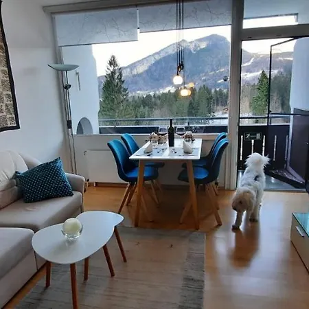 Lebensfreude アパート バート・ゴイーザーン